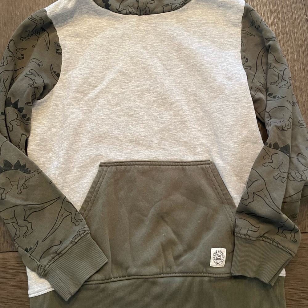 Dinosaur hooded sweatshirt